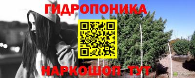 дмт Сланцы