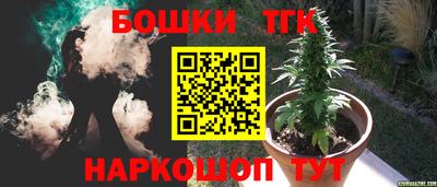 a pvp Славгород