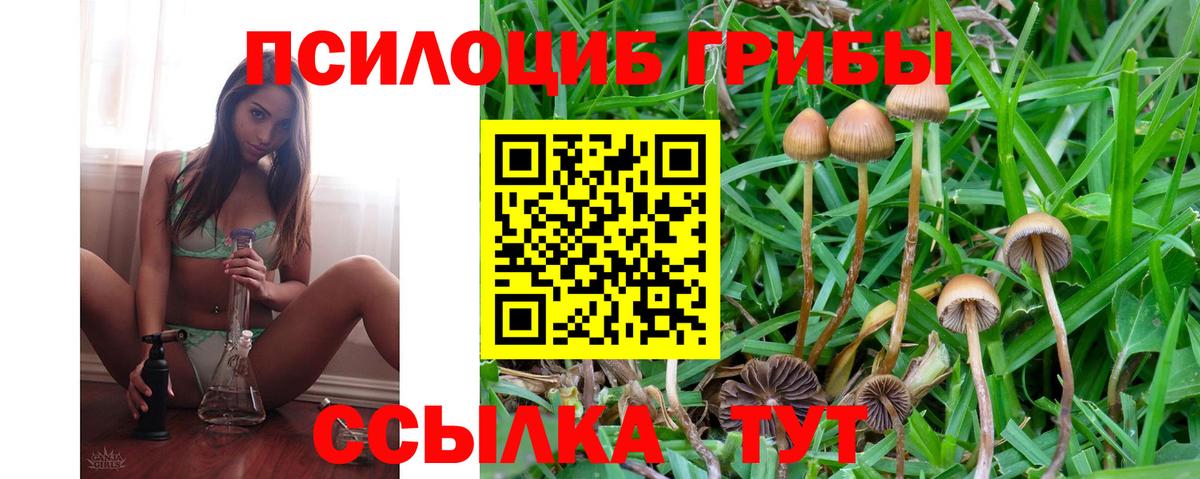 Галлюциногенные грибы Psilocybine cubensis  Вход с VPN  Ржев  Галлюциногенные грибы GOLDEN TEACHER 
